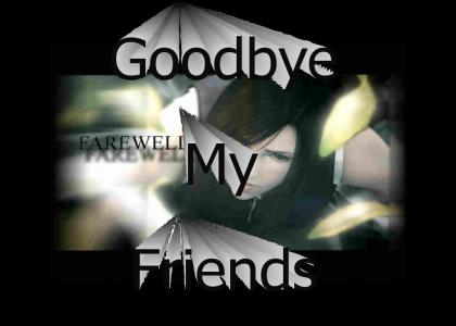 Goodbye My Friends