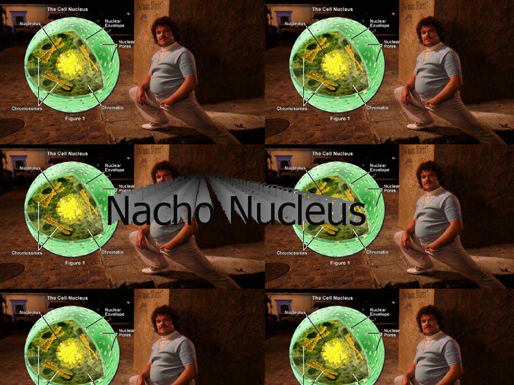 nachonucleus