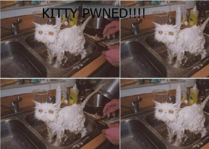 kitty is PWNED!!!!!