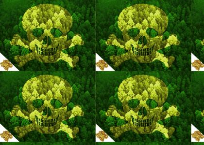 HEH: OMG Secret Pirate Forest! (new sound)