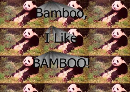 Panda Likes Bamboo!