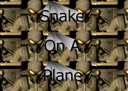 Snake On A Plane