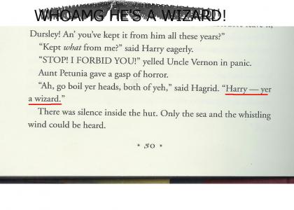 HARRY POTTER SPOILER! Harry discovers something he never knew before!