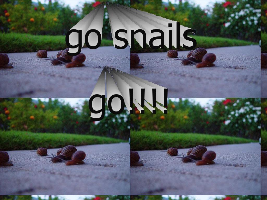 snails