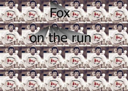 fox on the run