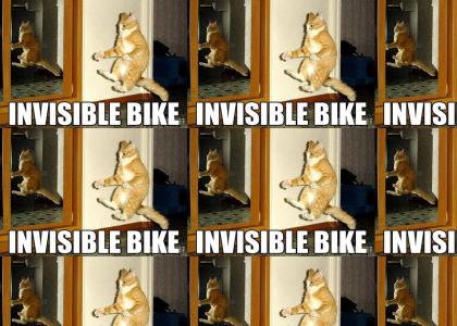 Leet Kitten's Bicycle Hax