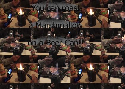 What Can't Beer Do?