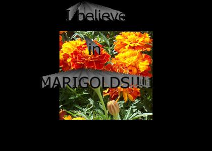 I believe in Marigolds