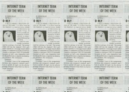 Internet Term Of The Week