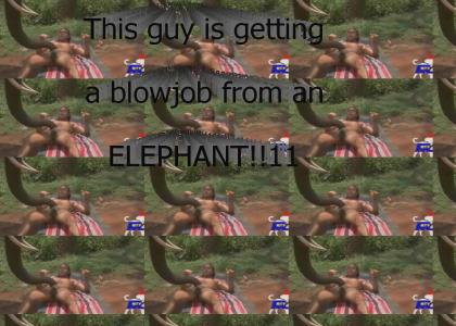 Elephant MAN!!!11