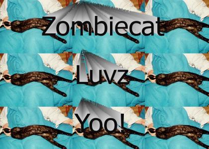 Zombiecat Luvz Yoo!