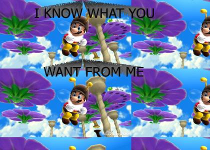 Everybody Wants To Bee Mario