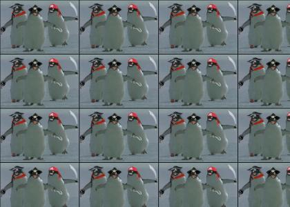 Pirate Penguins.