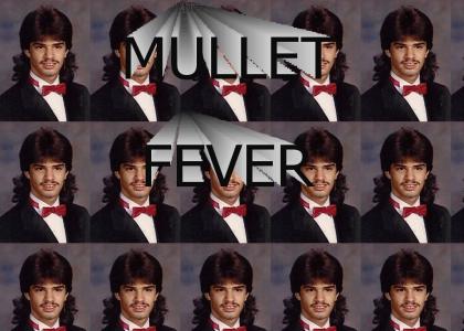 mullet fever