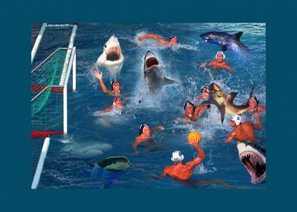 Water Polo is so hard when theres sharks lol