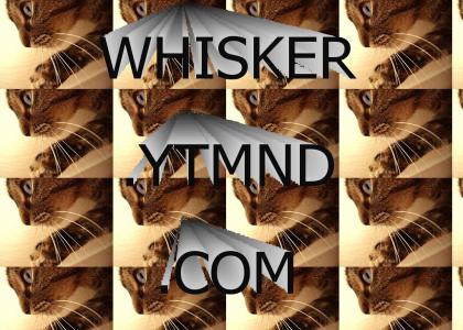 whisker.ytmnd.com