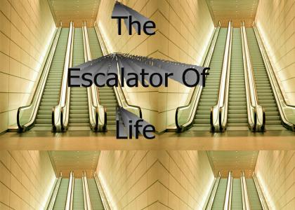 The Escalator Of Life, Located at the Human Mall