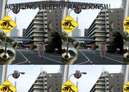 The REAL Raccoon City