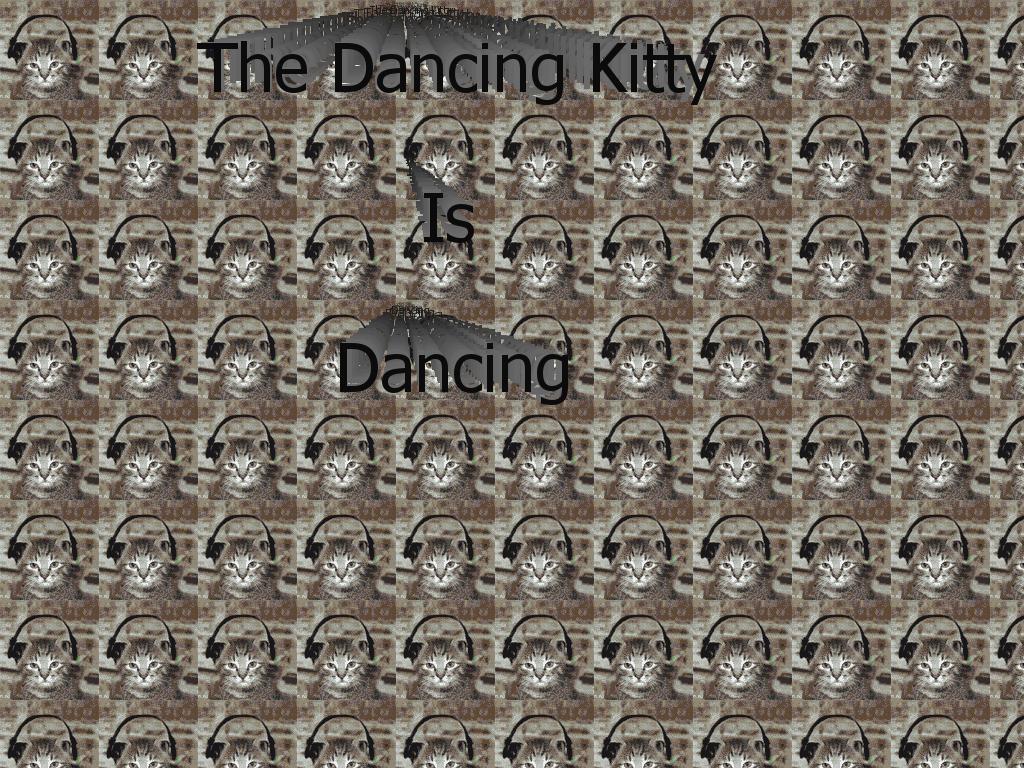 thedancingkitty