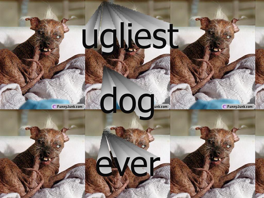 ugliestdog