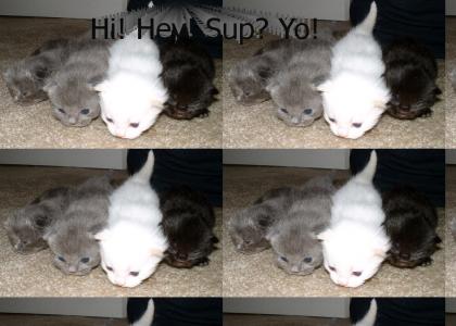 Hi! Hey! Sup? Yo!