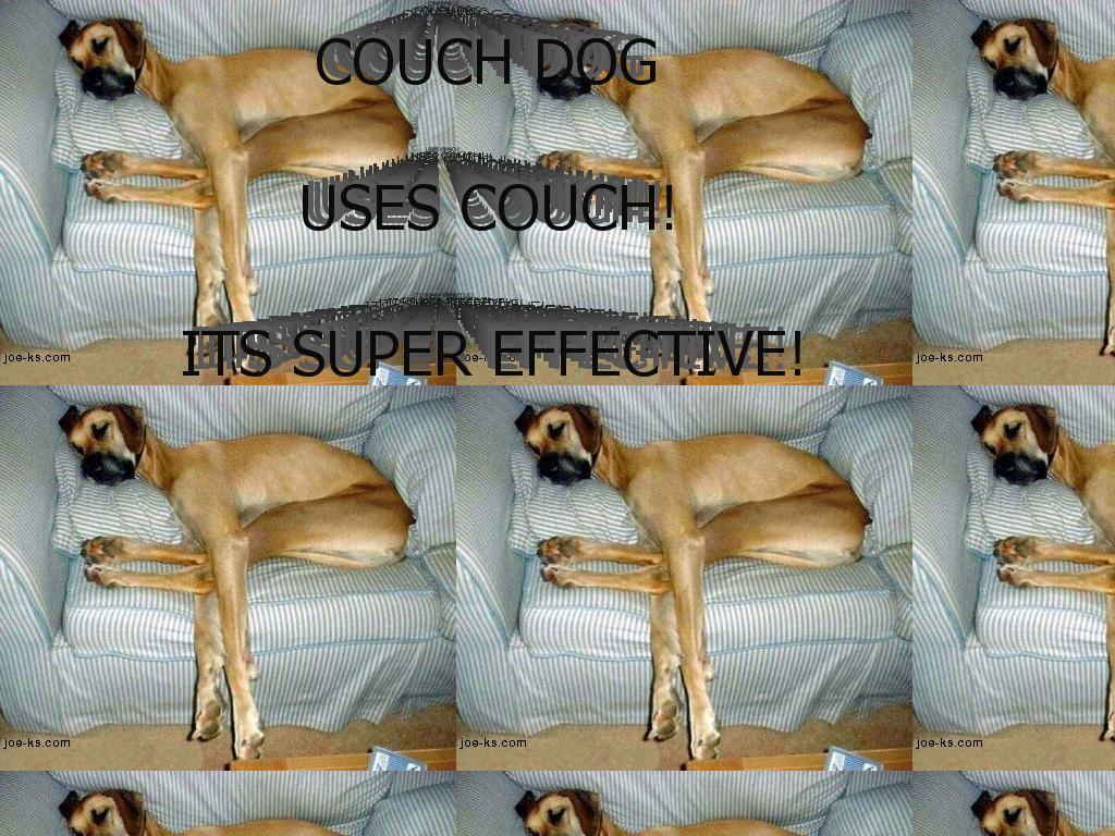couchdog