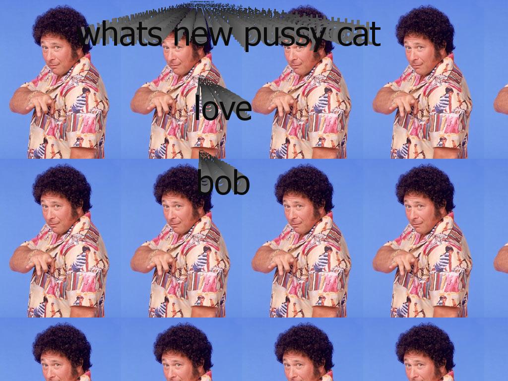 pussybob