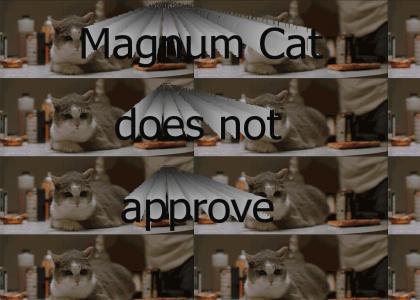 Magnum Cat