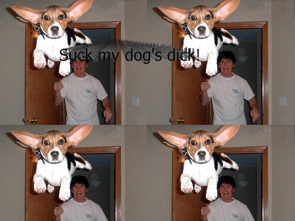 dogdogdogdog