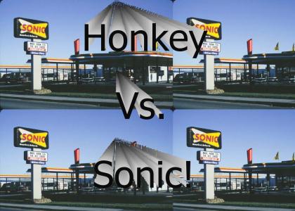 Honkey Vs. Sonic