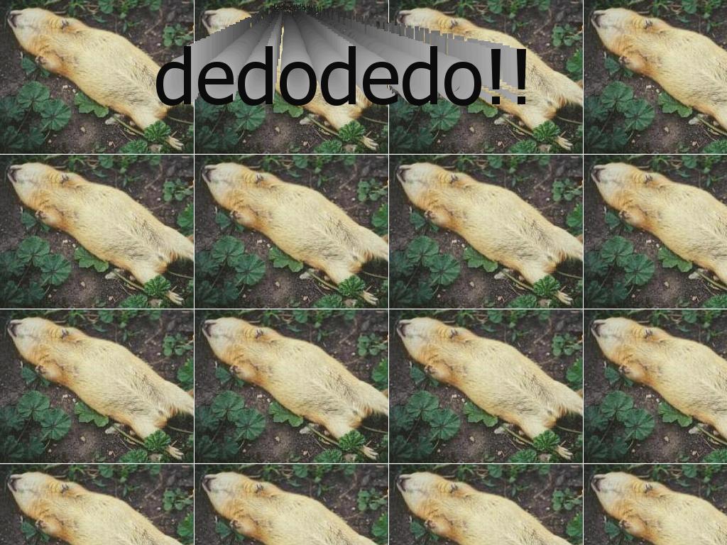 dedodedo