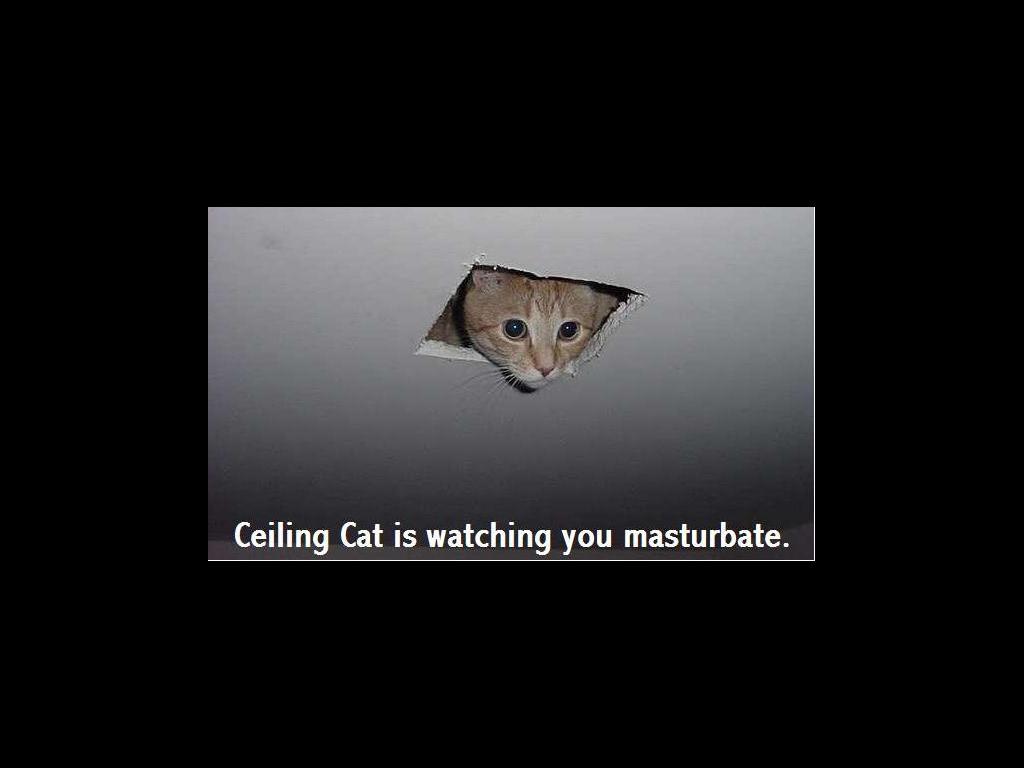 ceilingcatiswatching