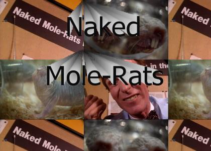 They're Naked, And They're Mole-Rats