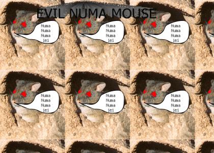 evil evil numa numa mouse mouse!!! !!!