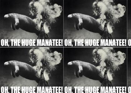 The Huge Manatee!