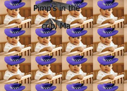Pimps in the Crib