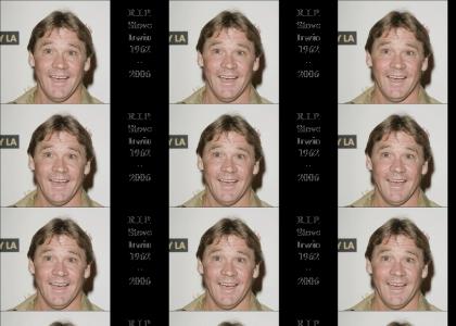 We'll miss you Steve Irwin