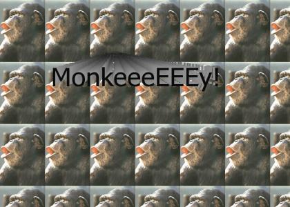 Shock the Monkey!