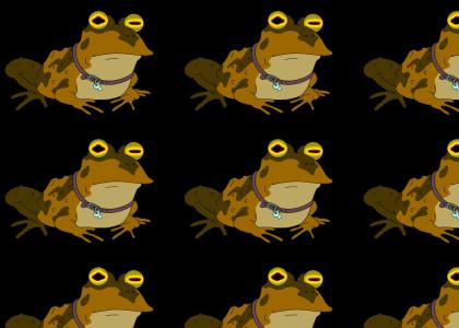 ALL GLORY TO THE HYPNOTOAD