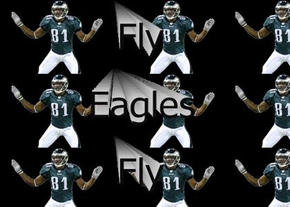 Fly Eagles Fly, on the road to victory