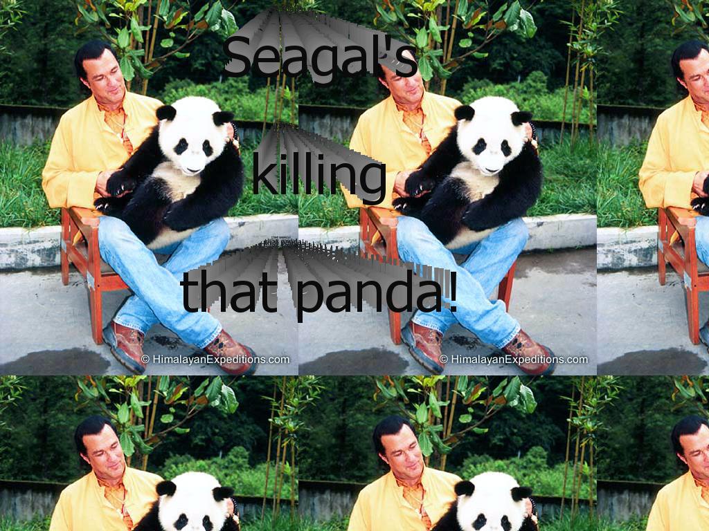 seagalpanda