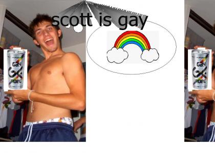 scott is gay