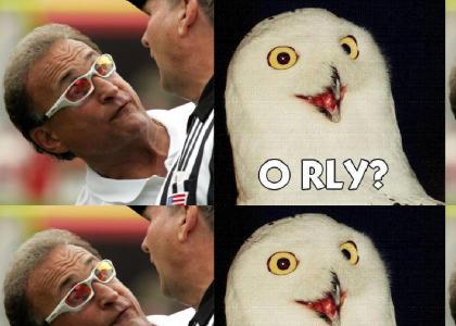 O Rly Owl is REAL!!!