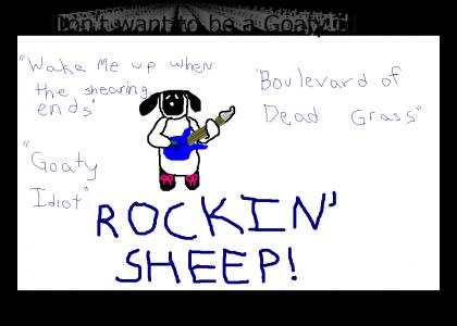 ROCK SHEEP ROCKS!!!