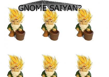Gnome Saiyan?