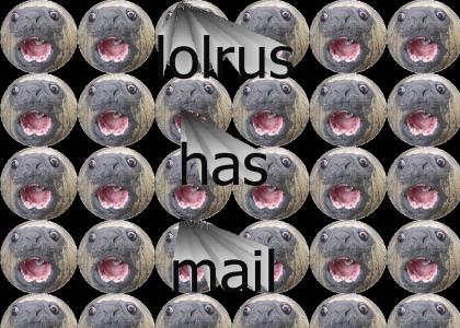 lolrus has mail