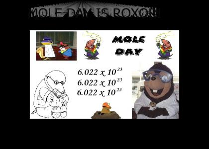 Mole Day Rules!