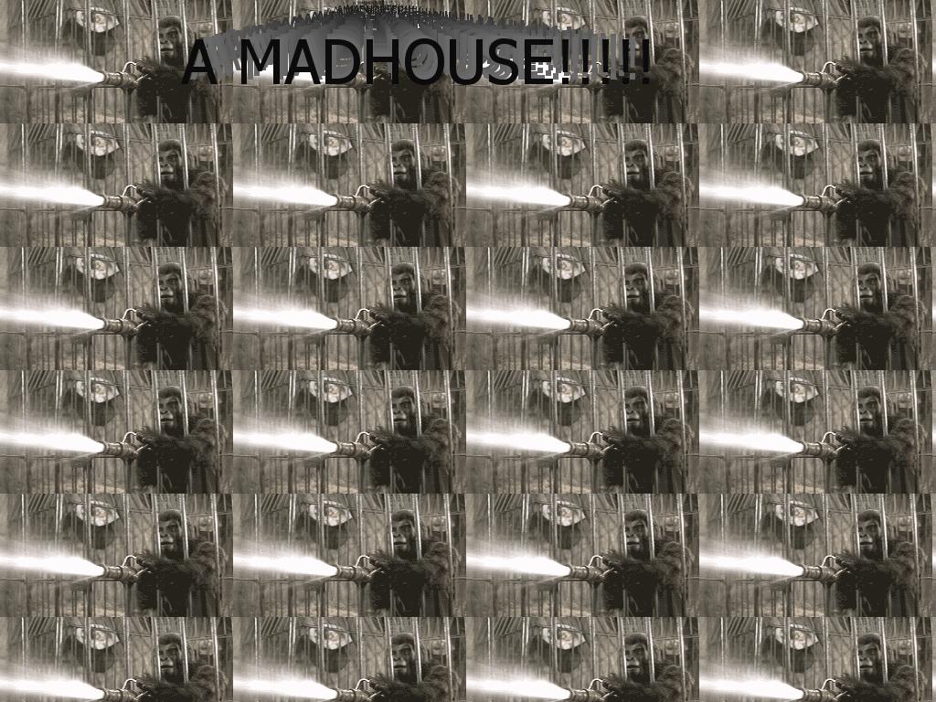 taylormadhouse