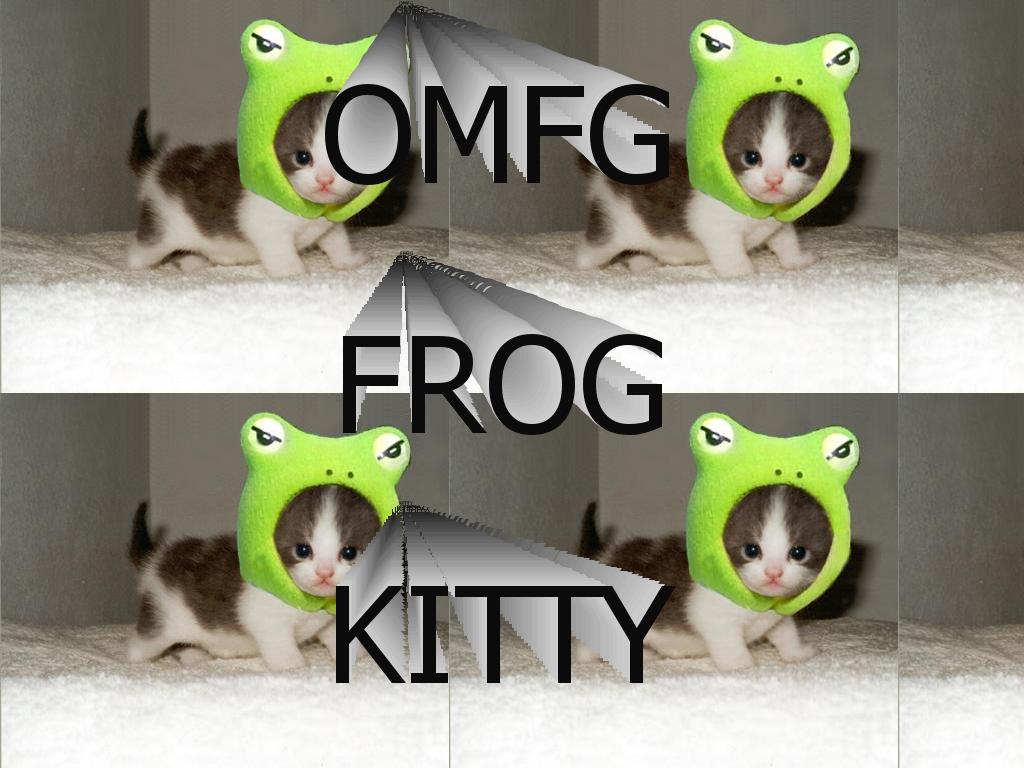 frogkitty