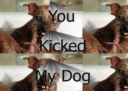 You kicked my Dog!